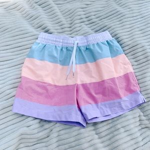 Chubbies Striped Swim Shorts